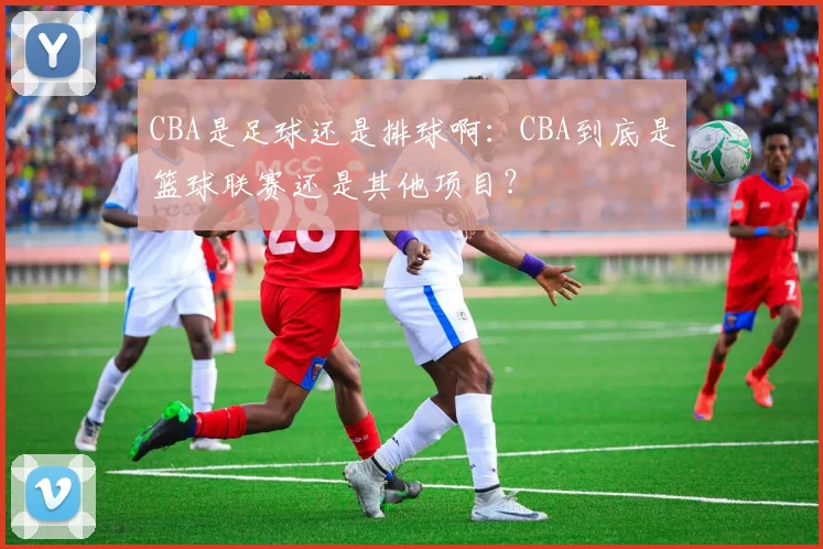 CBA是足球还是排球啊:CBA到底是篮球联赛还是其他项目?